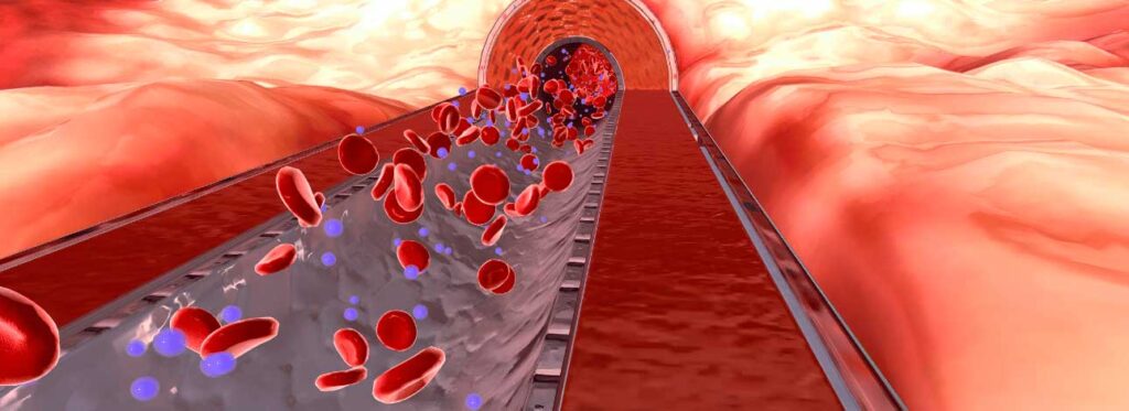 Potássio alto: sintomas, riscos e como ajustar a alimentação com segurança